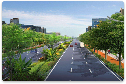 綠化安排 綠化安排