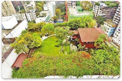 綠化資料 綠化資料